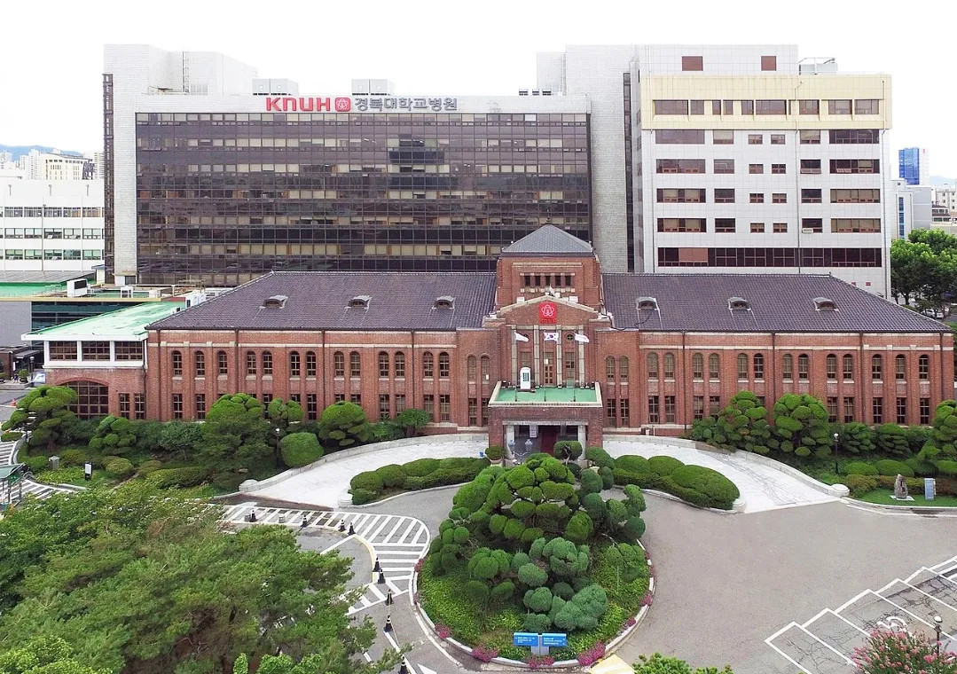 경북대학교병원