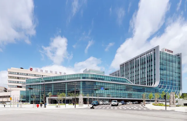 고려대학교안암병원